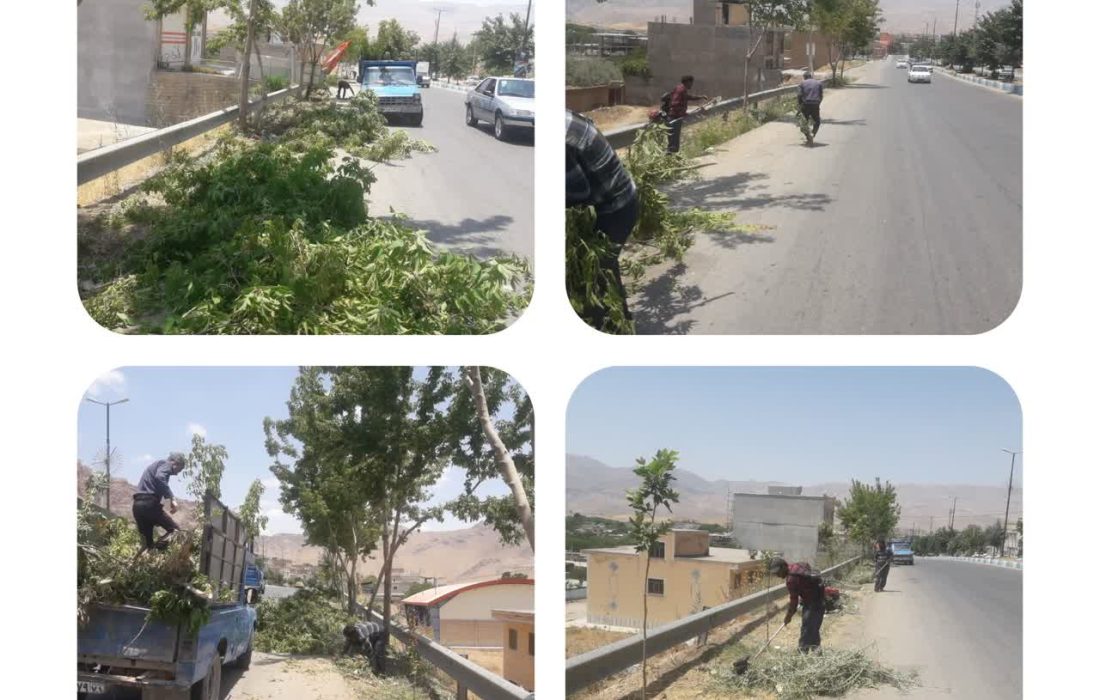 هرس درختان