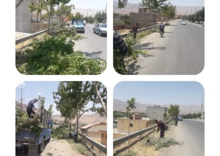 هرس درختان